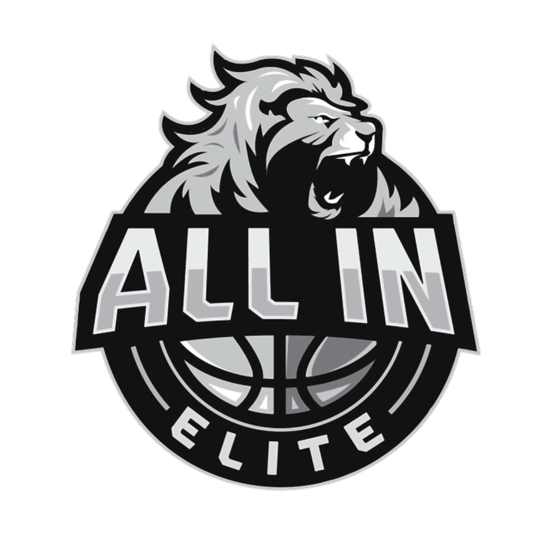 All In Elite Logo Silver
